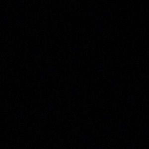 Meet your Posher, Gavin